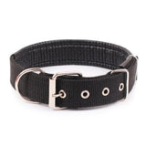 Adjustable Strap Dog Collar