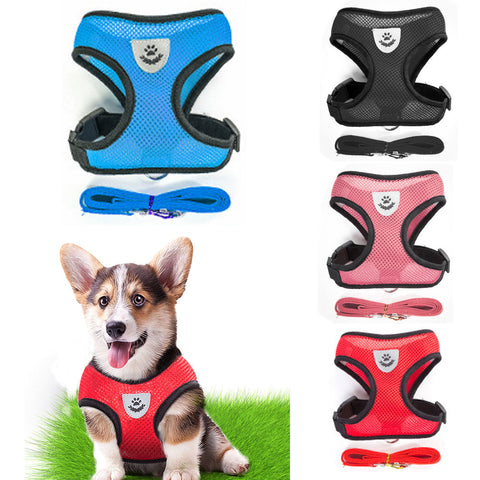 Breathable Pet Harness and Leash Set - Small