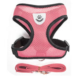 Breathable Pet Harness and Leash Set - Small